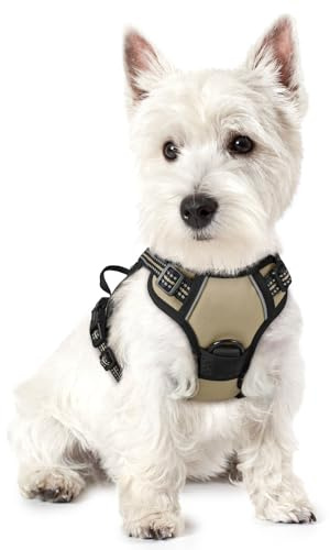 rabbitgoo Hundegeschirr Kleine Hunde Anti Zug mit Griff, XS, Beige | No Pull & Individuell Anpassbar, Atmungsaktiv Gepolstert, 2 D-Ringe, Schnellverschlüsse, Reflektierend für Gassi & Training
