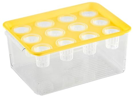 Duroecsain Planteur et Aquarium aquaponique pour Poissons - Planteur et Aquarium pour Poissons Betta Fish - Station de Propagation pour Grasses et d'intérieur