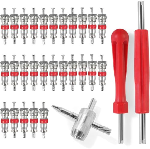 Cosblisvia 30 Stück Reifenventil Werkzeug Set, Doppel & Einzelkopf Entferner, 4-Wege-Schlüssel & 27 Ventileinsätze für Auto, LKW, Motorrad Reparatur
