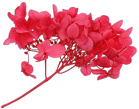 Cabilock 2 Cajas Rosa Material Madera Natural Hortensia Flor Preservada