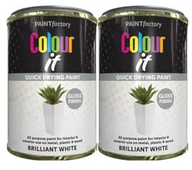 MIXEL Brilliant White Gloss Tin Paint, Quick Drying Formula, Easy to Apply, Long-Lasting, DIY Enthusiasts, Interior and Exterior Use, Portable & Lightweight, 300ml, (2 Pcs)