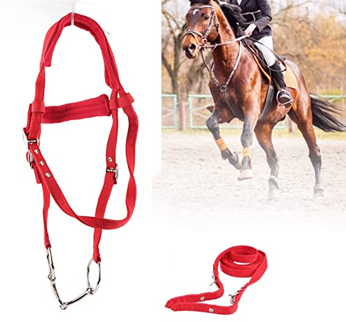 ZenithAur Adjustable Horse Bridle for Multiple Sizes, a Complete Equestrian Horse Harness with Padded Crownpiece and Removable Bit for Training and General Riding
