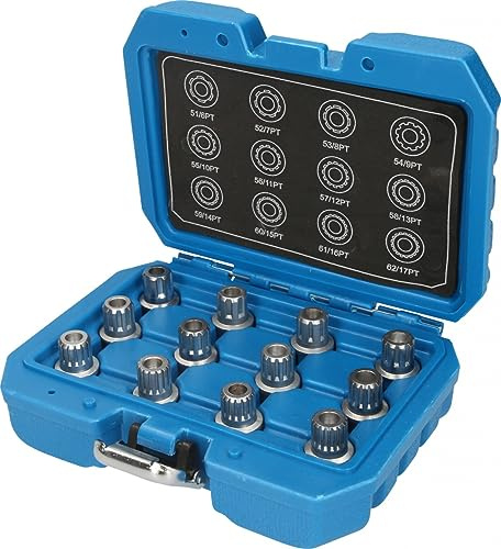 BRILLIANT TOOLS BT691190 Coffret de démontage [Powered by KS TOOLS] | Coffret de démontage d'écrous antivols VW, 12 pcs