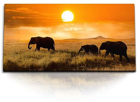 Paul Sinus Kunstdruck Bilder 120x60cm Afrikanische Landschaft Elefanten Tierfotografie Safari