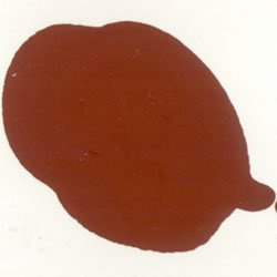 BCreativetolearn Brown (Burnt Sienna) Ready Mix Poster Paint 5 litre