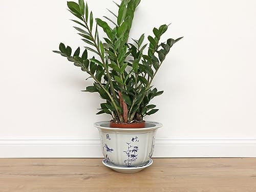 Yajutang Vaso da fiori in porcellana con orchidea in bambù e crisantemo Ø30