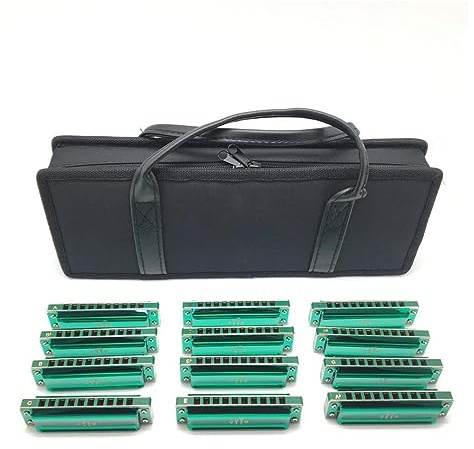 Anfänger Mundharmonika 12-teiliges Mundharmonika-Set Mit 10 Löchern Aus Phosphorbronze