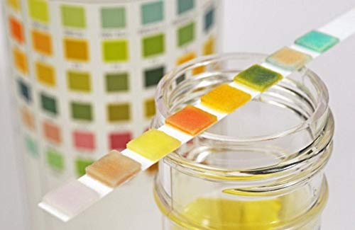 25 x 10 Parameter Professional GP Urinalysis Multisticks Urine Strip Stick - pH, Glucose, Ketone, Liver, Kidney & Urine Infection