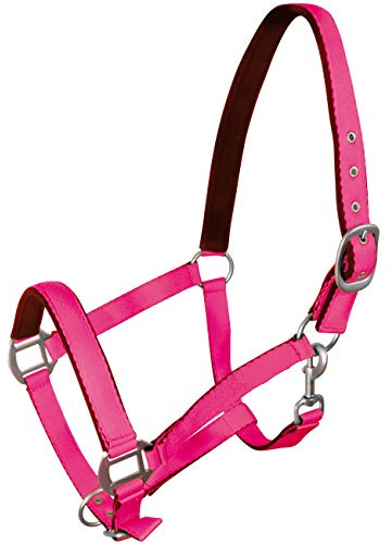 York Pferde Halfter Fluo weich unterlegt Stallhalfter Weidehalfter Reithalfter (Cob, rosa)