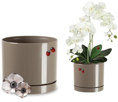 LiveLaif®- Macetas Decorativas Interior | Macetero Moderno con Plato | Macetas plastico, Tiestos para Plantas Interior, Exterior, orquideas, suculentas, etc | Resistentes y Ligeras (Marron, Ø14cm)
