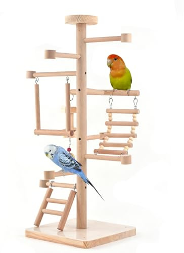 GUANLANT Parco giochi per uccelli Parrocchetti Play Stand Parrocchetti Play Palestre Set Giocattolo Birdcage Stand Persico Tavolo Piano Attività Centro Conures Legno Box Piattaforma Scala Altalena per