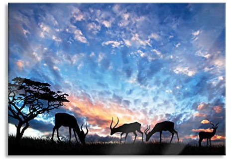 Pixxprint Glasbild, Wandbild aus Echtglas, Tiere in der Natur am Abend, 100x70 cm, inkl. Aufhängung und Abstandshalter