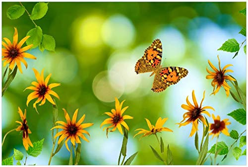 Wallario Glasbild Blumen mit Schmetterling - 60 x 90 cm Wandbilder Glas in Premium-Qualität: Brillante Farben, freischwebende Optik