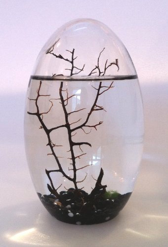 Original Ecosphere Ei 13 cm schwarzer Kies !! Neu !! Miniaturwelt hinter Glas