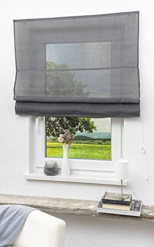 LYSEL Outlet Raffrollo grau, transparent mit Schnurzug (B x H) 140cm * 170cm