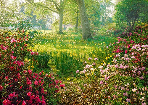 Ravensburger Puzzle 1000 Teile - Blumenwiese - Puzzle für Erwachsene und Kinder ab 14 Jahren, [Exklusiv bei Amazon]