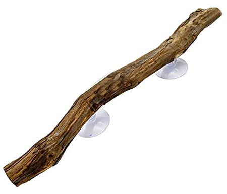 Leeadwaey Vogel-Sitzstange Dekoration Kauspielzeug Papageien Ständer Spielzeug für Nymphensittiche Kanarienvögel Holz, Weinrebe