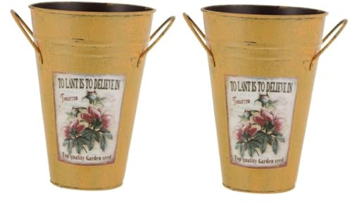 Sosoport 2pcs Retro Bucket Adornment Iron Plant Bucket Garden Pots and Planters Herb Planter