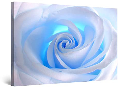 Startonight Bilder Weiße Rose Blume, Leinwandbilder Moderne Kunst, Abstrakte Wanddeko Kunstdrucke, Wandbilder Wohnzimmer Groß Wand Bild 80 x 120 cm, Tag Nacht Effekt, Elegante Geschenkidee Deko