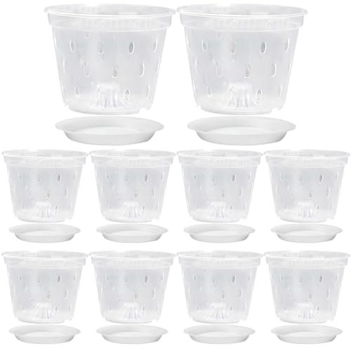 Macetas para OrquíDeas Macetas Transparentes 17cm 10 Juegos De Maceteros De PláStico Transparente para OrquíDeas con Agujeros Y Platillos Macetas Transparentes Ranuradas Transpirables