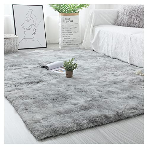 Ergocar Tappeto Pelo Soggiorno, Moderno Tappeto Camera da Letto Soggiorno, Tappeti Super Morbido e Antiscivolo, Shaggy Tappeti, Calda Decorazione del Pavimento in Casa