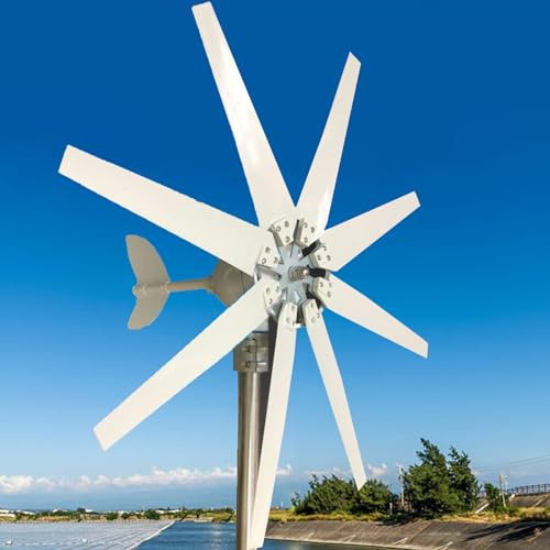 Dfdieratve Generador de Turbina Eólica de 650W, Kit de Turbina Eólica, Generador de Energía Eólica de 8 Palas con Controlador MPPT, Generador de Turbina Eólica para Barcos Domésticos,48V