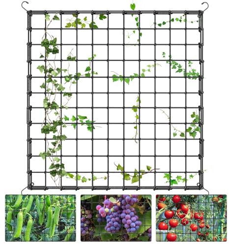 Tiusixsy Red de Enrejado elástico, Red de Tienda de Cultivo, Malla Elástica para Plantas Trepadoras con 4 Gancho, para Verduras,Frutas,Flores(120 x 120 cm) (120 x 120 cm)