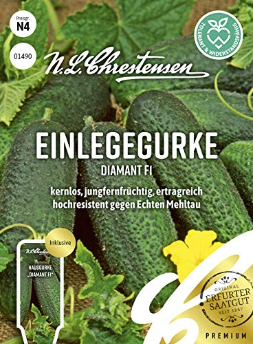 Inläggsgurka diamant F1-frön, frön