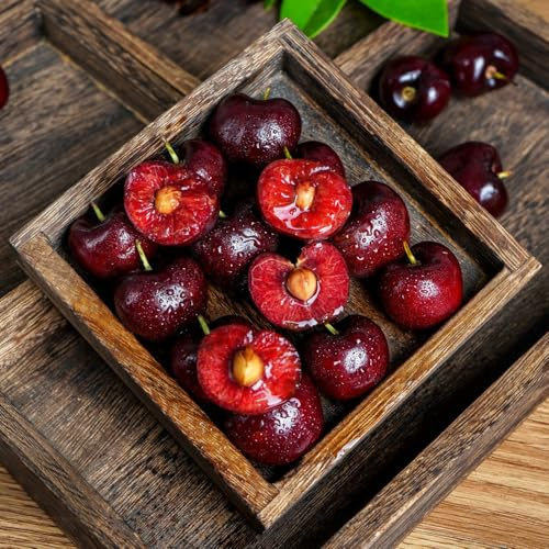 20 piezas Semillas de cerezo Maceta de bonsái, plantas frutales, plantas decorativas. semillas orgánicas, plantas para lugares soleados Maceta, decoración de jardín para exteriores.