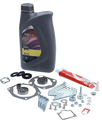 Dichtsatz Wellendichtring SKF Lager Schrauben Öl Dichtmasse Vergaserdichtungen kompatibel mit Hercules Prima 3 5 MX M5 HR2 Sachs 505/2 A B C 2-Gang Motor