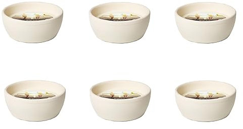 Flammschalen Ingwer Citronella für draußen 6 Stück - Outdoor-Kerzen Terracotta - Perfekt für deinen Garten - Feuerschalen im 6er Set - 13h Brenndauer - 10,9x10,9x4,6 cm