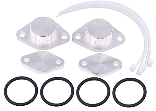 Strumento piastra di chiusura valvola EGR per L-e Rover | Per Discovery 3 Range Rover Sport 2.7 TDV6