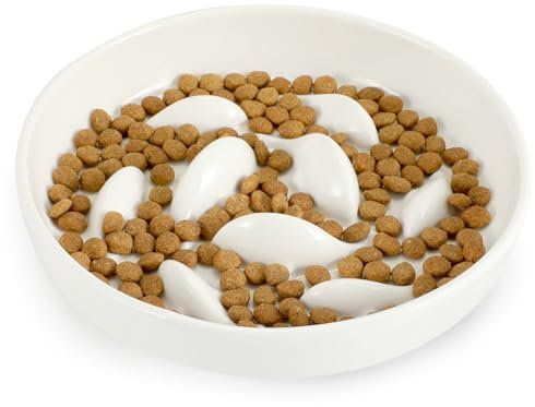 PETTOM Slow Feeder Cat Bowl Ceramic, Upgrade- Raised Rim Spill Proof Slow Eating Cat Bowl for Wet Food/Dry Food, Cats Bowls Slow Feed Anti Vomiting, Cat Puzzle Feeder Anti-Gulping