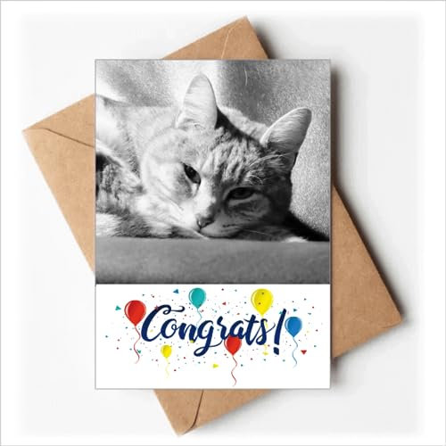 Tier Pure Grau Katze Foto Bild Hochzeit Karten Glückwunsch Gruß Umschläge