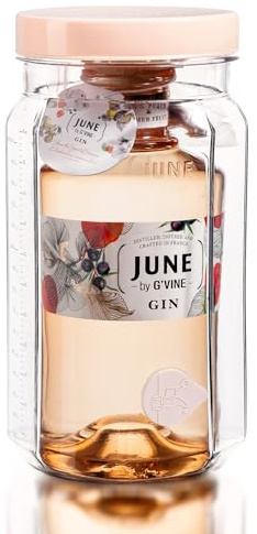 G'Vine JUNE Wild Peach & Summer Fruits Flavoured Gin with Cocktail Making Jar, 37.5% ABV, 70cl