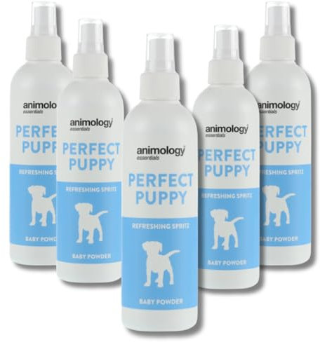 Sparset 5x 250 ml Animology Essentials Baby Powder Puppy Spray – Erfrischendes, sanftes Duftspray für Welpen & Hunde – Hypoallergen, pH-neutral, neutralisiert Gerüche, weiches & glänzendes Fell