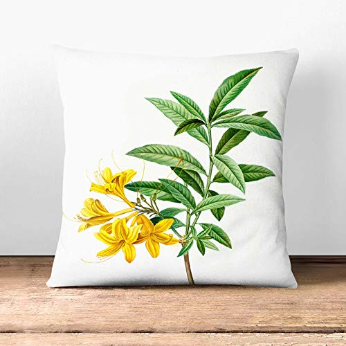 Big Box Art Yellow Azalea Flowers by Pierre-Joseph Redoute - Cushion Cover Throw Pillow with Insert for Sofa Chair Bed - Stone Rear - 55x55 cm