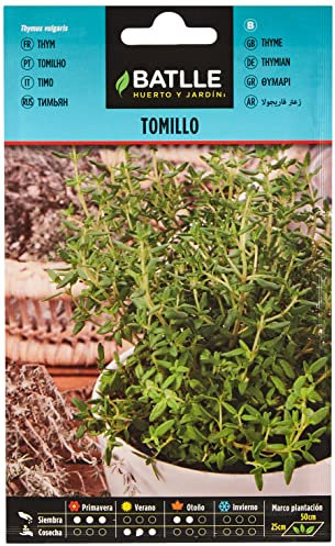 Semi di erbe di Batlle - Timo (semi - 25 cm)
