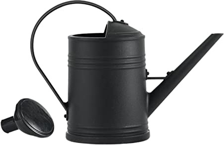 F Fityle Regadera de 2L con Cabezal rociador Desmontable, Herramientas de jardín portátiles de Gran Capacidad, Tarro Decorativo práctico Esmerilado para Patio, Negro