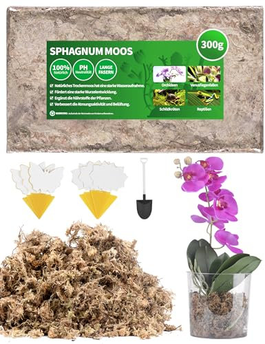 300g Sphagnum Moos für Pflanzen Terrarium Orchideen Torfmoos Terrarienmoos Peat Moss Feuchtigkeitsspendende Ernährung Natürliches TerrarienSubstrat für Orchideen Moos mit Trauermücken Gelbsticker