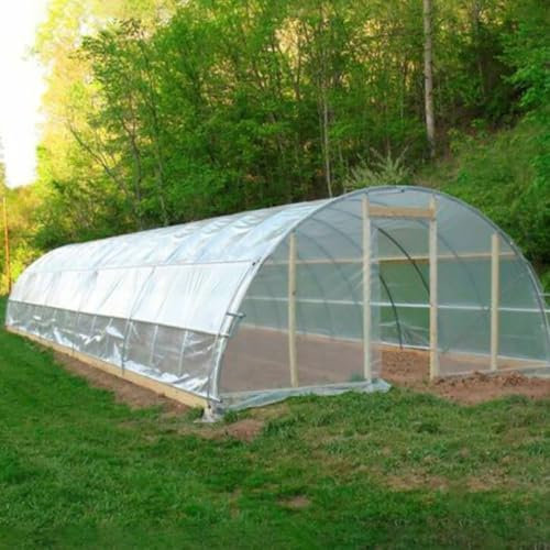 Film de protection en plastique pour tunnel - Solution parfaite pour protéger vos plantes contre les intempéries (3 m x 10 m)