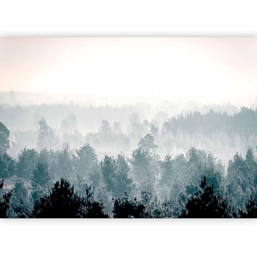 murando - Carta da parati Bosco Foresta 350x256 cm Fotomurali in TNT Murale alla moda Decorazione da Muro XXL Poster Gigante Design Soggiorno Cameretta Carta per Pareti Nuvole Natura c-B-0347-a-a
