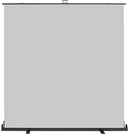 Walimex pro Roll-up Panel Hintergrund grau 210 x 220 cm, Fotohintergrund mit Transportbox, Hintergrundsystem für Fotostudio, knitterfreie Fotoleinwand ideal für Portraits und dezente Lichtakzente