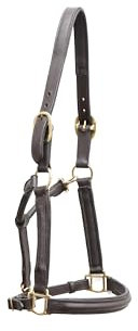 Aces Equine Halfter-Halfter, verstellbar, aus Leder, vollständig hochgezogen, gepolstert, Messingbeschläge, Braun (X-Full)