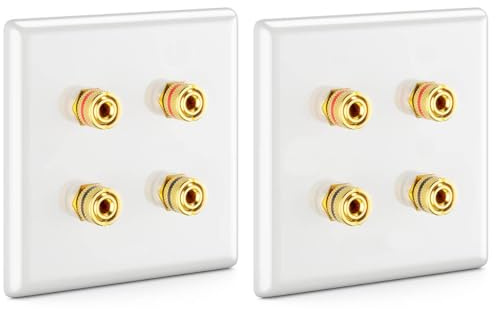 ACMEROTA 2 prises murales pour enceintes multimédia avec fiches bananes Prise pour enceintes multimédia pour 2 enceintes pour système audio surround Hi-Fi Home Cinéma