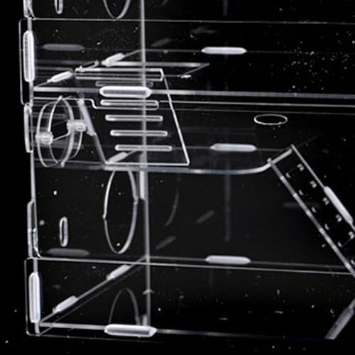 Yctze Transparent hamsterbur med dubbla lager – andningsbart litet djurhus med 360-graders observationshamstrar, marsvin och sockerglidare, lätt att montera och rengöra (30 x 20 x 30 cm /