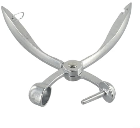 Zeroupshop Dénoyauteur pour cerises, pour olives et dattes rouges, outil de dénoyautage en alliage d'aluminium, outil de dénoyautage facile à presser pour fruits, gadget de cuisine argenté de 18 cm