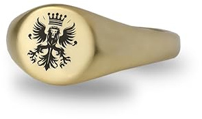 Heraldischer Löwe Siegelring - Heraldischer Ring - Mittelalterlicher Symbol Ring - Familienwappen Ring - Bedeutungsvoller Ring - Unisex Ring