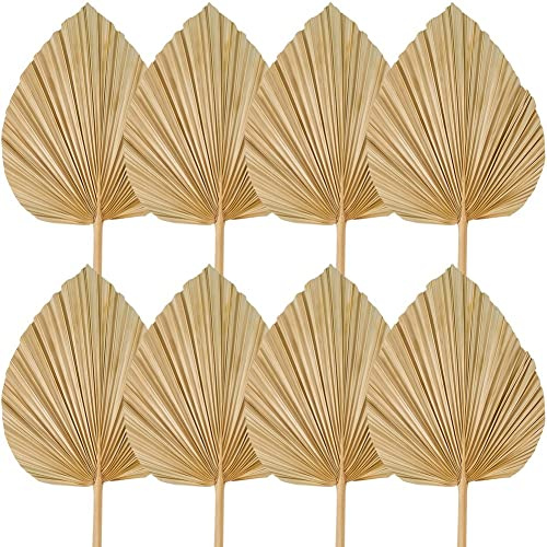 Ujjdwiurgh 8 piezas de hojas de palma secas, abanicos de palmera seca recortada, abanicos tropicales secos para boda, decoración de boda bohemia