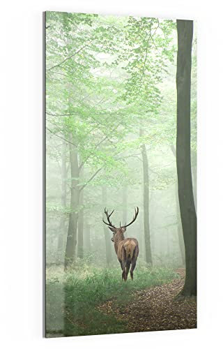 DEQORI Glas-Magnettafel | 50x100 cm groß | Motiv Hirsch zwischen Bäumen | Memo-Board aus Glas | Magnetboard inkl. Magnete, Stift & Tuch für Küche & Büro | Tafel magnetisch & beschreibbar